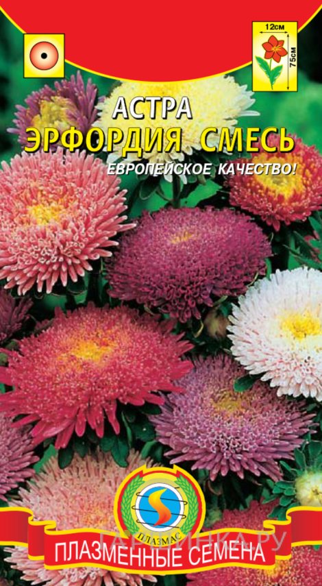 Семена  Астра Эрфордия, смесь  0,3 гр Плазменные семена