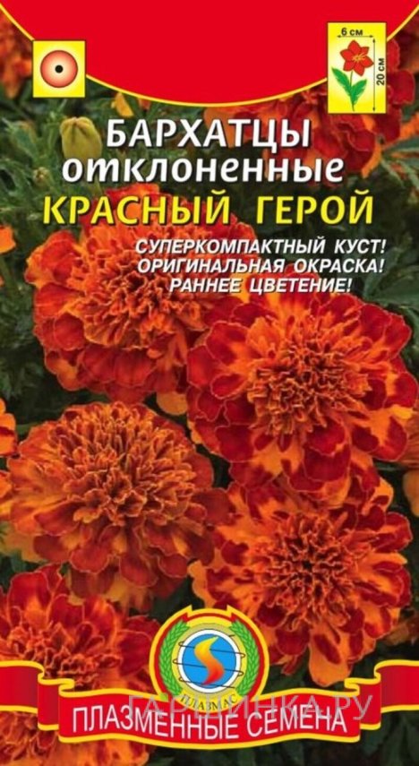 Семена  Бархатцы отклоненные Красный Герой  15 шт Плазменные семена