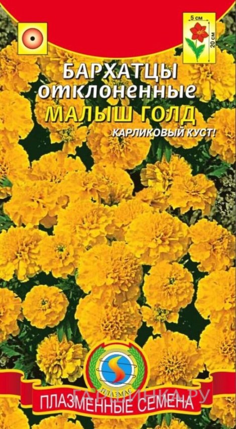 Семена  Бархатцы отклоненные Малыш Голд  30 шт Плазменные семена