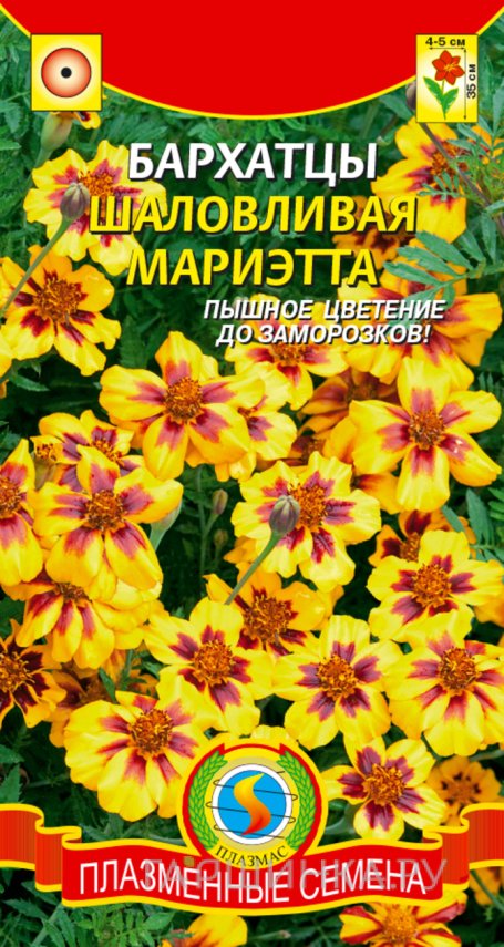 Семена  Бархатцы Шаловливая Мариэтта  45 шт Плазменные семена