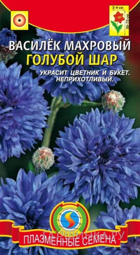 Семена  Василёк Голубой шар  0,5 гр Плазменные семена