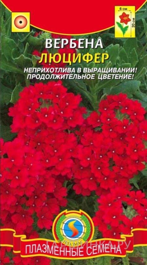 Семена  Вербена Люцифер  0,05 гр Плазменные семена