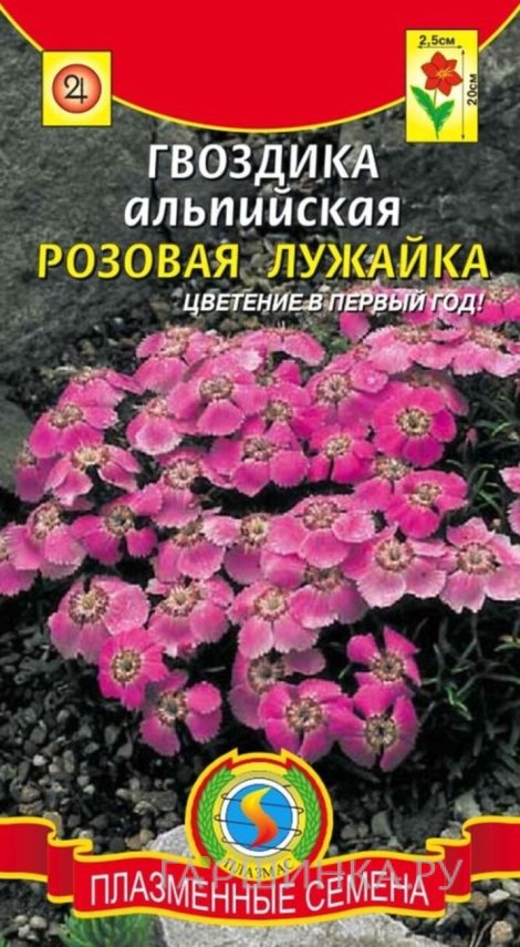 Семена  Гвоздика альпийская Розовая лужайка  0,05 гр Плазменные семена