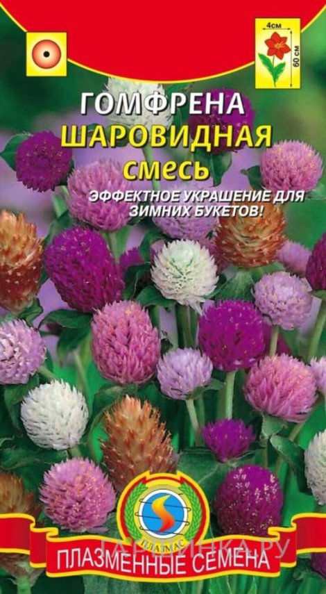 Семена  Гомфрена шаровидная, смесь  0,1 гр Плазменные семена