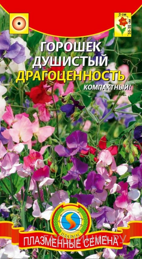 Семена  Горошек душистый Драгоценность  12 шт Плазменные семена