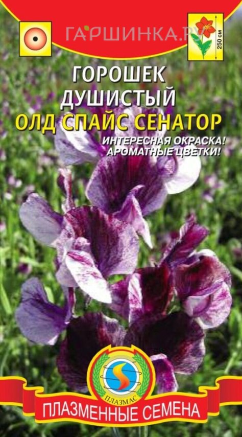 Семена  Горошек душистый Олд Спайс Сенатор  0,4 гр Плазменные семена