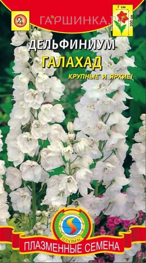 Семена  Дельфиниум Галахад  0,05 гр Плазменные семена