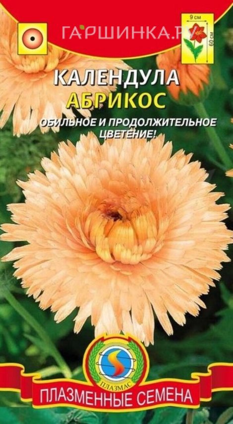 Семена  Календула Абрикос  0,3 гр Плазменные семена