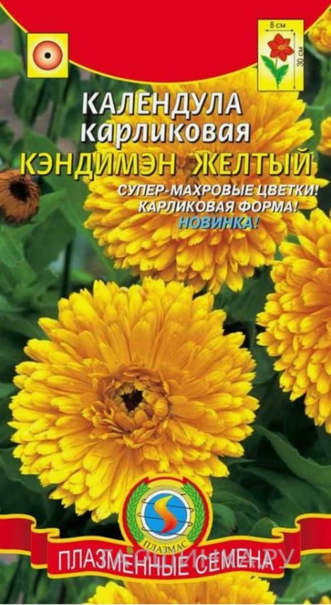 Семена  Календула карликовая Кэндимэн Желтый  0,2 гр Плазменные семена
