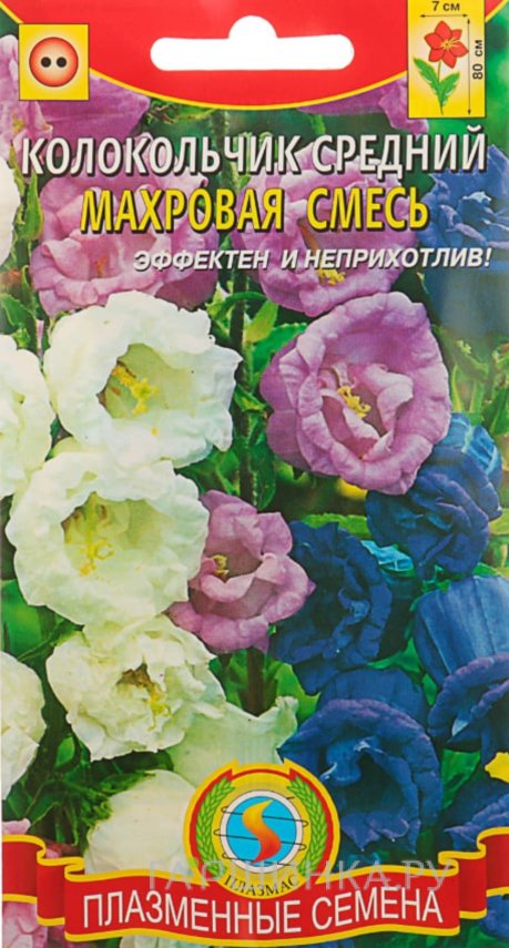 Семена  Колокольчик средний махровая смесь  0,1 гр Плазменные семена