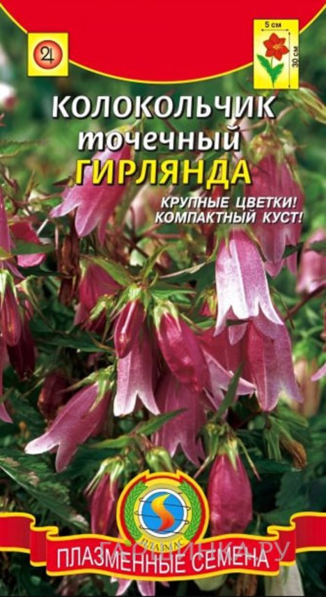 Семена  Колокольчик точечный Гирлянда  90 шт Плазменные семена