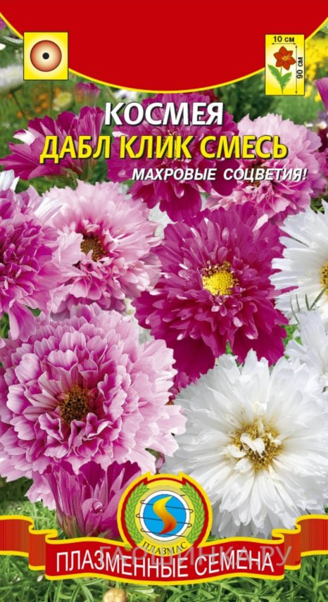 Семена  Космея Дабл Клик смесь  10 шт Плазменные семена