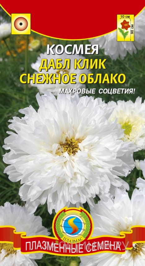 Семена  Космея Дабл Клик Снежное облако  10 шт Плазменные семена