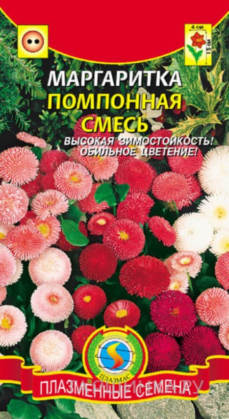 Семена  Маргаритка Помпонная, смесь  0,05 гр Плазменные семена
