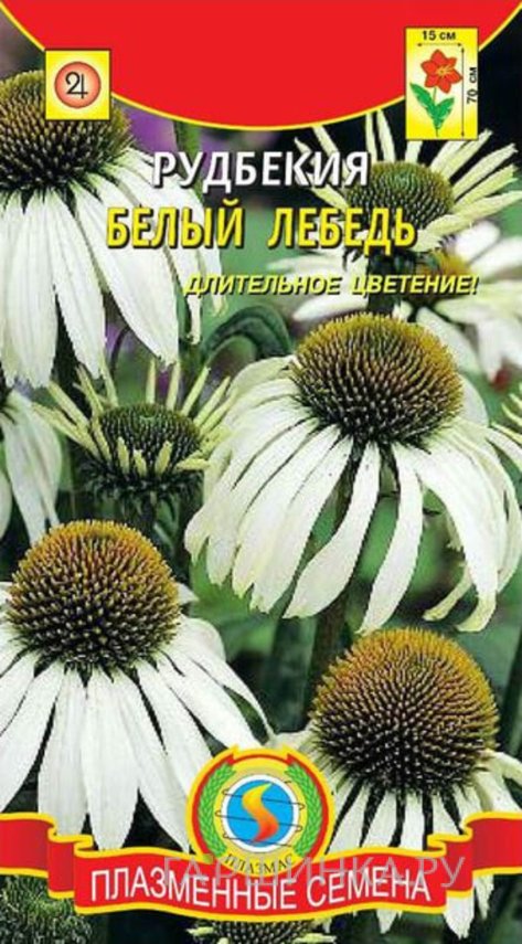Семена  Рудбекия Белый лебедь  0,05 гр Плазменные семена