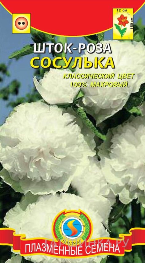 Семена  Шток-роза Сосулька  0,1 гр Плазменные семена