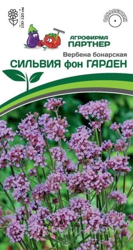 Семена Вербена Бонарская Сильвия Фон Гарден 10 шт. Партнер