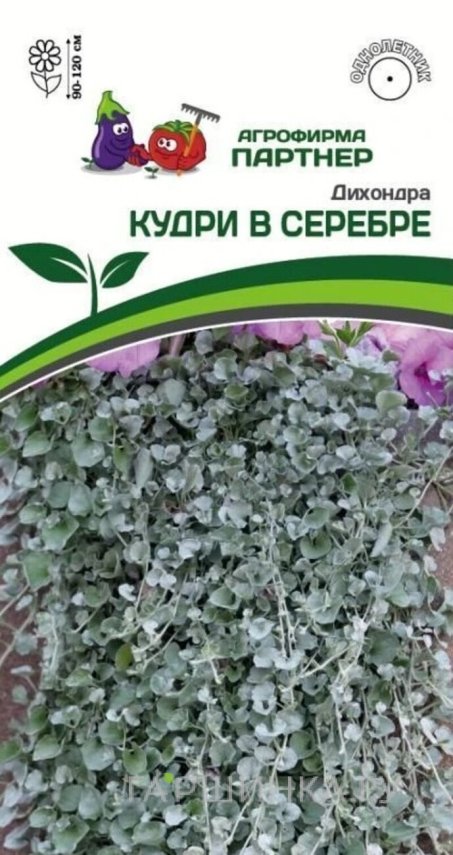 Семена Дихондра серебристая Кудри в серебре 4 шт. Партнер