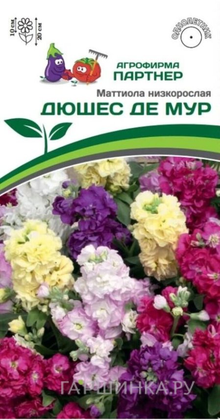 Семена Маттиола низкорослая Дюшес де Мур 10 шт. Партнер