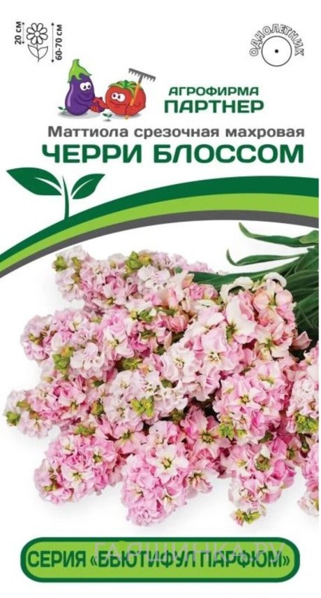 Семена Маттиола срезочная махровая "Бьютифул Парфюм" Черри Блоссом 10 шт. Партнер