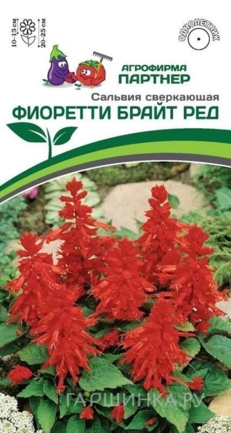 Семена Сальвия сверкающая Фиоретти Брайт Ред 10 шт. Партнер