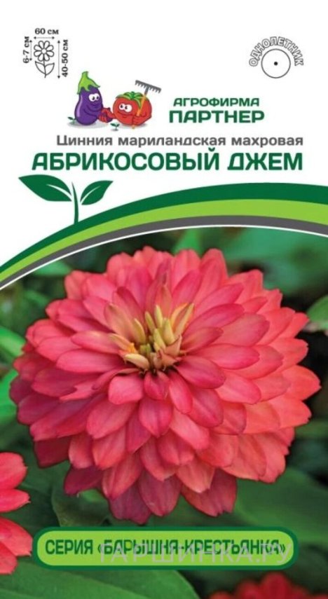Семена Цинния махровая "Барышня-крестьянка" Абрикосовый Джем 5 шт. Партнер