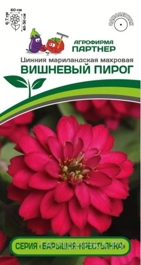 Семена Цинния махровая "Барышня-крестьянка" Вишневый Пирог 5 шт. Партнер