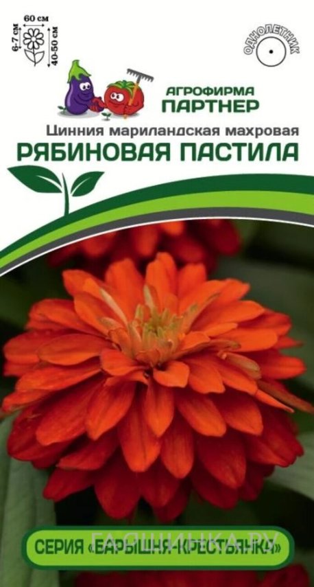 Семена Цинния махровая "Барышня-крестьянка" Рябиновая Пастила 5 шт. Партнер