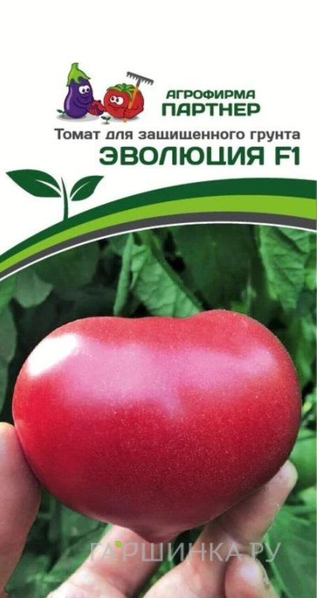 Семена Томат Эволюция F1 (снова в продаже) 10 шт. Партнер