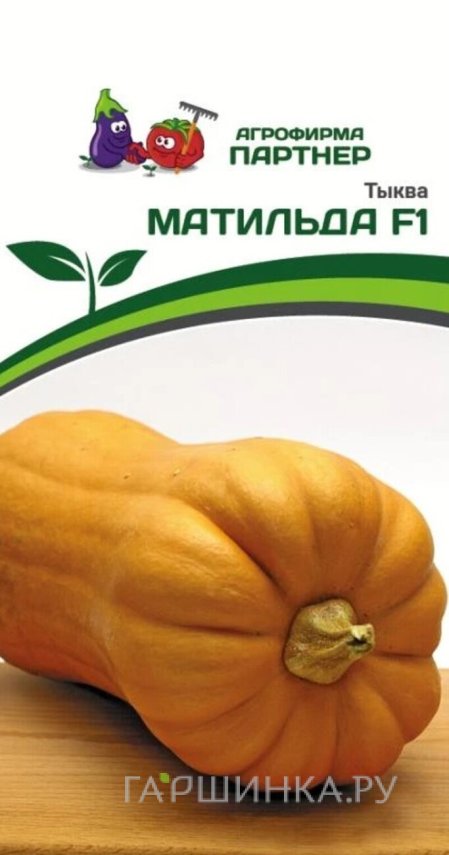 Семена Тыква Матильда F1 5 шт. Партнер