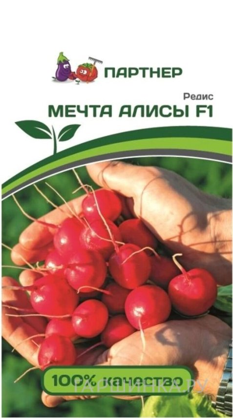 Семена Редис Мечта Алисы F1 1 гр. Партнер