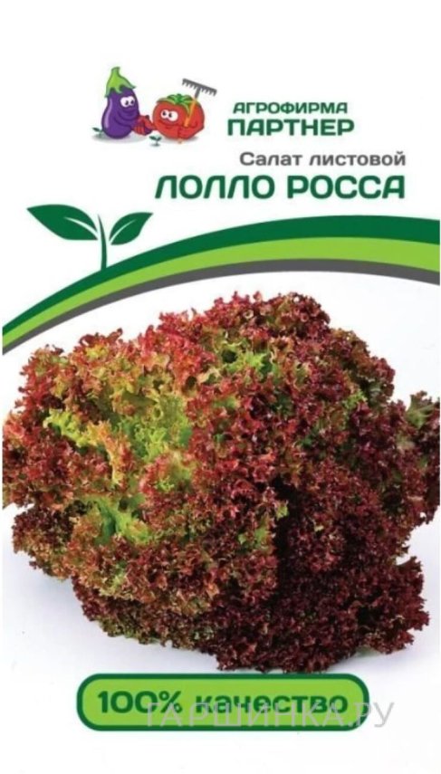 Семена Салат листовой Лолло росса 0,5 гр. Партнер