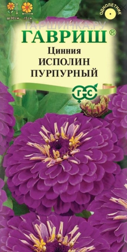 Семена Цинния Исполин пурпурный 0,3 г ЦП Гавриш