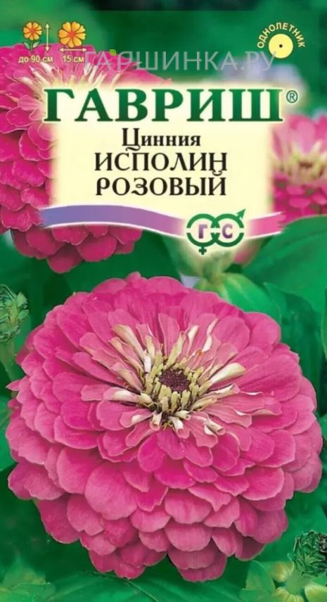 Семена Цинния Исполин розовый 0,3 г серия Розовые сны ЦП Гавриш