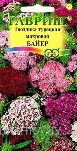 Семена Гвоздика турецкая махровая Байер, смесь 0,2г