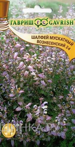 Семена Шалфей Мускатный Вознесенский 24 0,3 г
