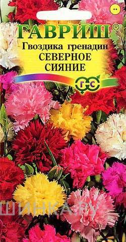 Семена Гвоздика садовая гренадин Северное сияние Смесь 0,1г