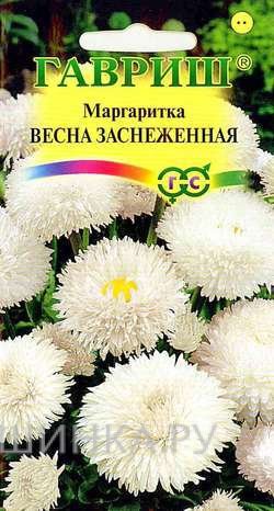Семена Маргаритка Весна заснеженная 0,05г
