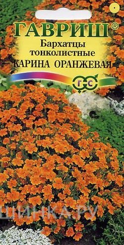 Семена Бархатцы Карина оранжевая тонколистные (Гавриш), 0,05 г