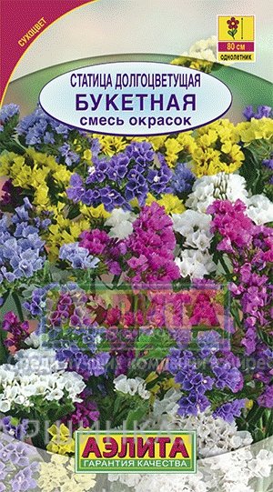 Семена Статица долгоцветущая Букетная, смесь окрасок