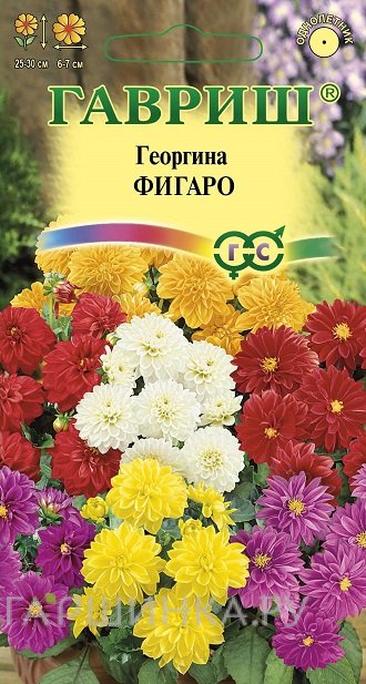 Семена Георгина Фигаро 0,3г