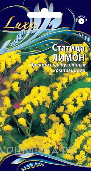 Семена Статица Лимон