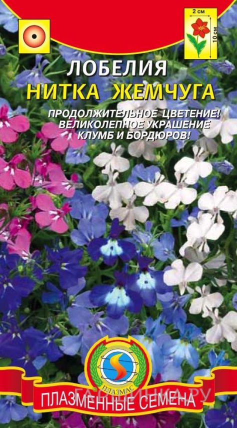 Семена Лобелия Нитка жемчуга ц/п