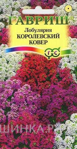 Семена Лобулярия Королевский ковер 0,1г