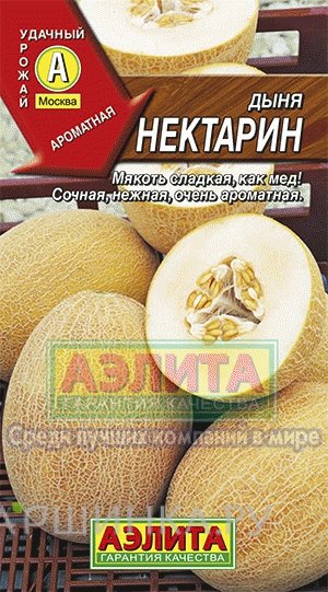 Семена Дыня Нектарин ц/п