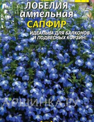 Семена Лобелия Сапфир , ампельная 0,05 г