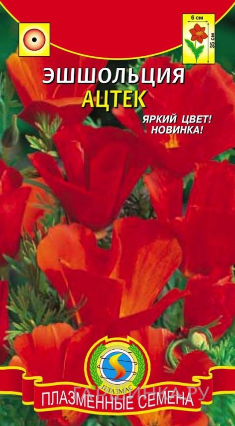 Семена Эшшольция Ацтек
