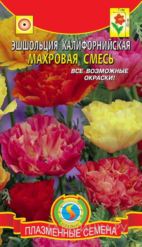 Семена Эшшольция калифорнийская махровая смесь