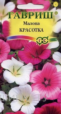 Семена Малопа Красотка*, смесь 0,1 г