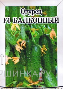 Семена Огурец Балконный F1 12шт